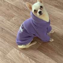 !!!СРОЧНО ОТДАМ СОБАКУ ДАРОМ !!!, в Уфе