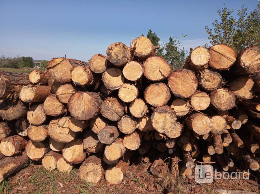 Купить Лес Кругляк В Крыму